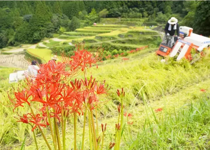 Farmstay Miyuki-Street \