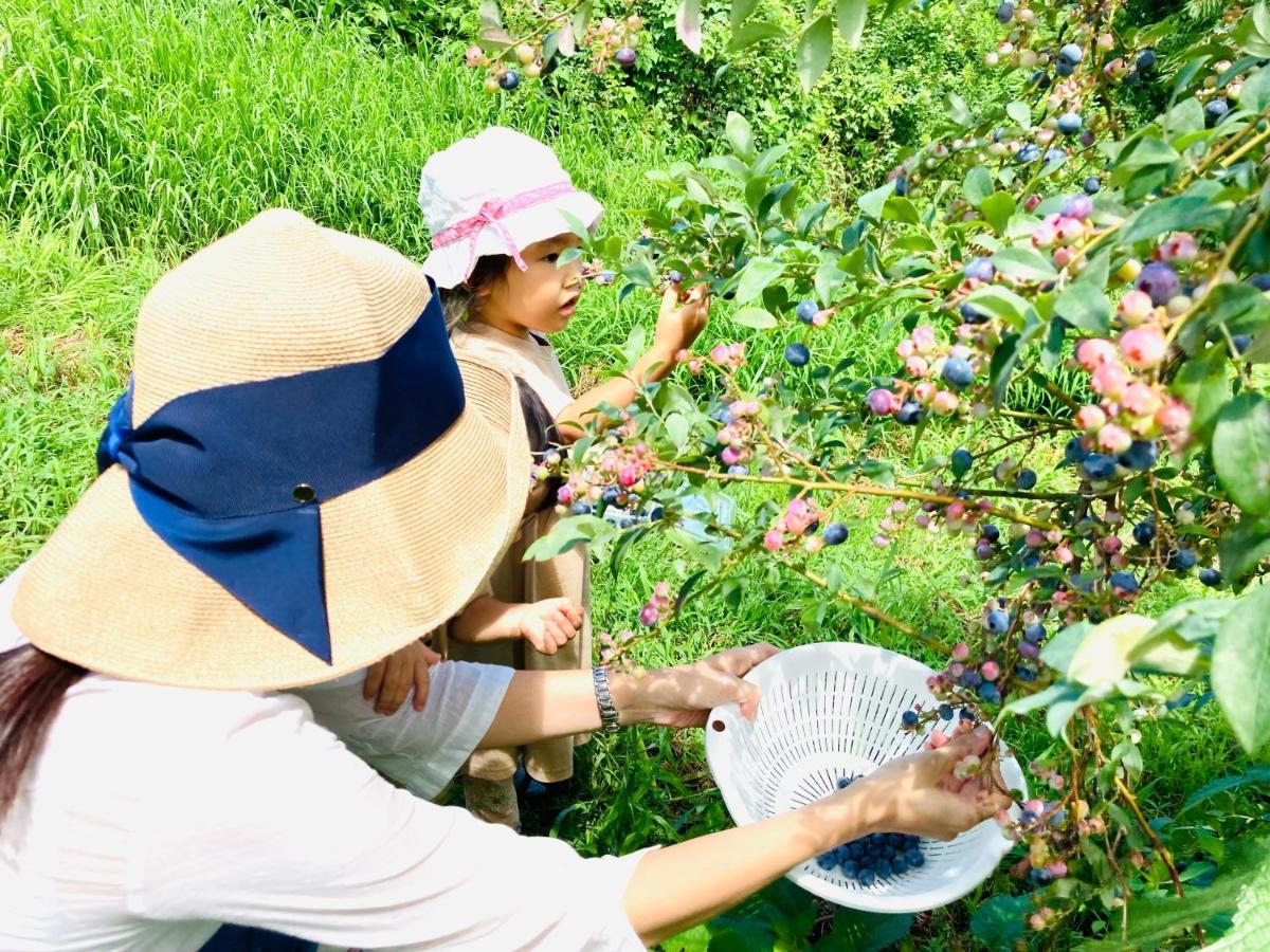 Farm stay Miyuki-street 