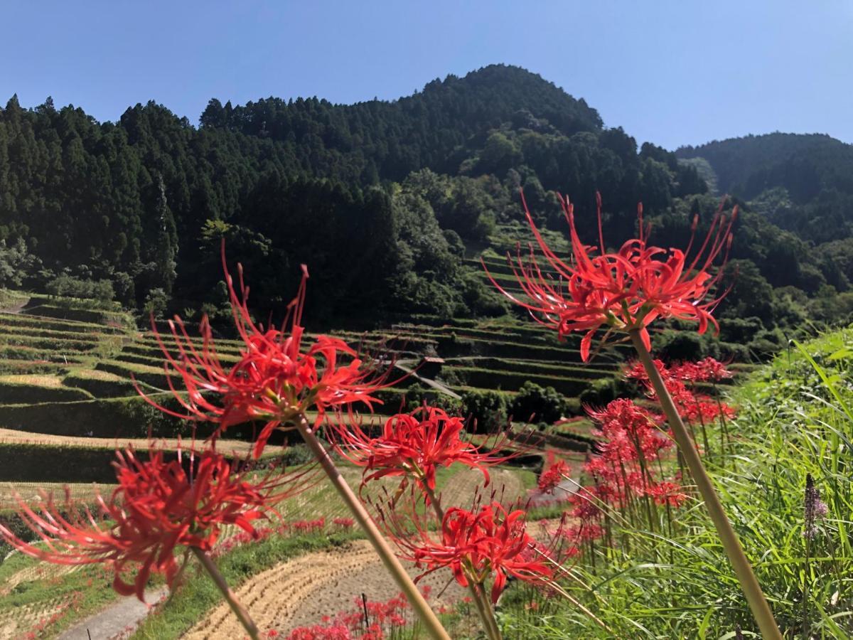Farm stay Miyuki-street 