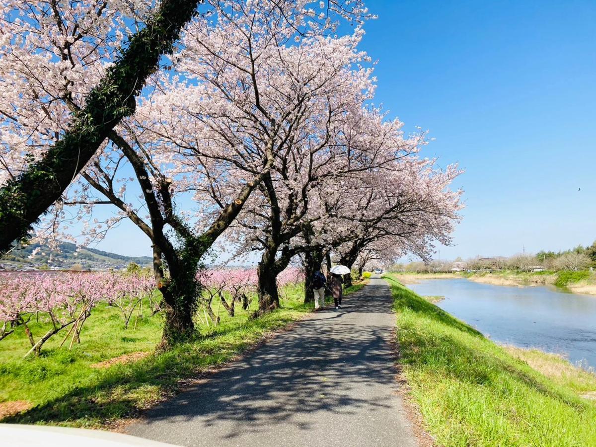 Miyuki-street 